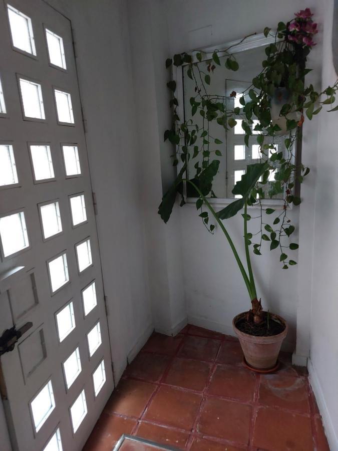 Apartamento Tipo Loth Alameda إشبيلية المظهر الخارجي الصورة